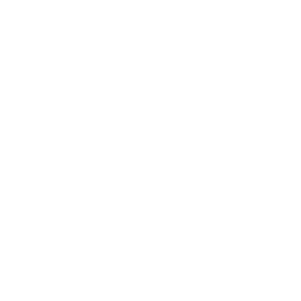 PocDoc Logo weiss